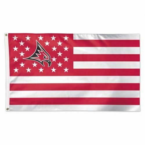 Wisconsin River Falls Falcons American Flag 3 x 5 Foot - NCAA