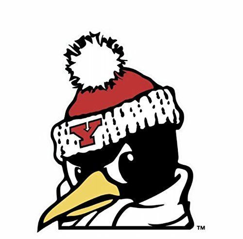 WinCraft Youngstown State Penguins Die Cut Decal 4" x 4"
