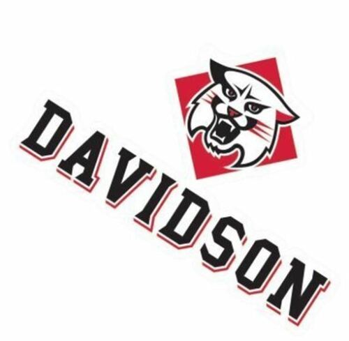 Davidson Wildcats Davidson College Wildcats NCAA 4x4 Die Cut Decal