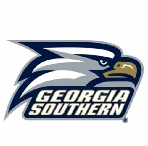 WinCraft Georgia Southern University Eagles 4x4 Die Cut Decal