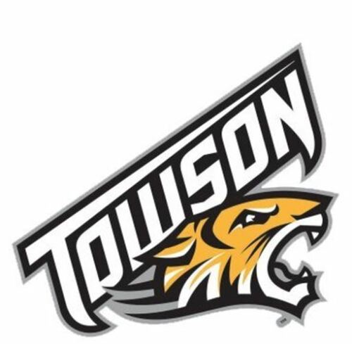 Townson University Tigers NCAA 4x4 Die Cut Decal