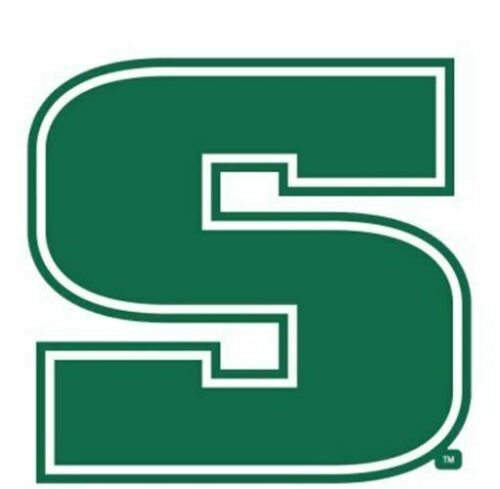 Slippery Rock University of Pennsalvania The Rock NCAA 4x4 Die Cut Decal
