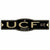 UCF University of Central Florida Golden Knights 4" x 17" Plastic Street Sign NC