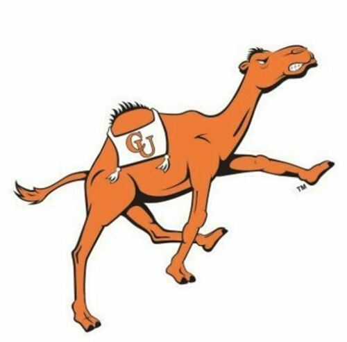 Campbell Camels Campbell University Camels NCAA 4x4 Die Cut Decal