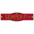 United States Marine Corps USMC Semper Fi Plastic 4 x 17 Street Sign