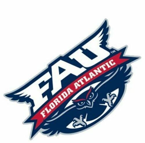 Florida Atlantic University Owls NCAA 4x4 Die Cut Decal
