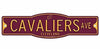 WinCraft Cleveland Cavaliers Basketball Plastic 4 x 17 Street Sign