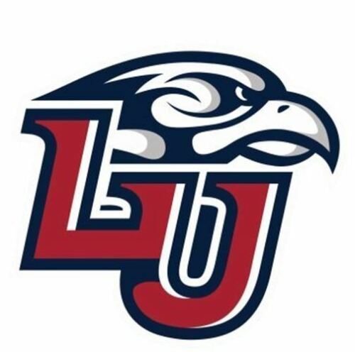 Liberty Eagles NCAA 4x4 Perfect Die Cut Decal