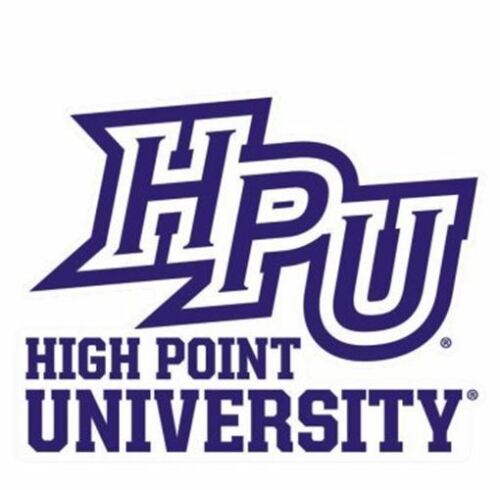High Point Panthers High Point University Panthers NCAA 4x4 Die Cut Decal